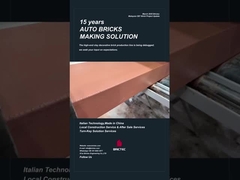 Posición en servicio de la línea de producción de ladrillos decorativos Brictec